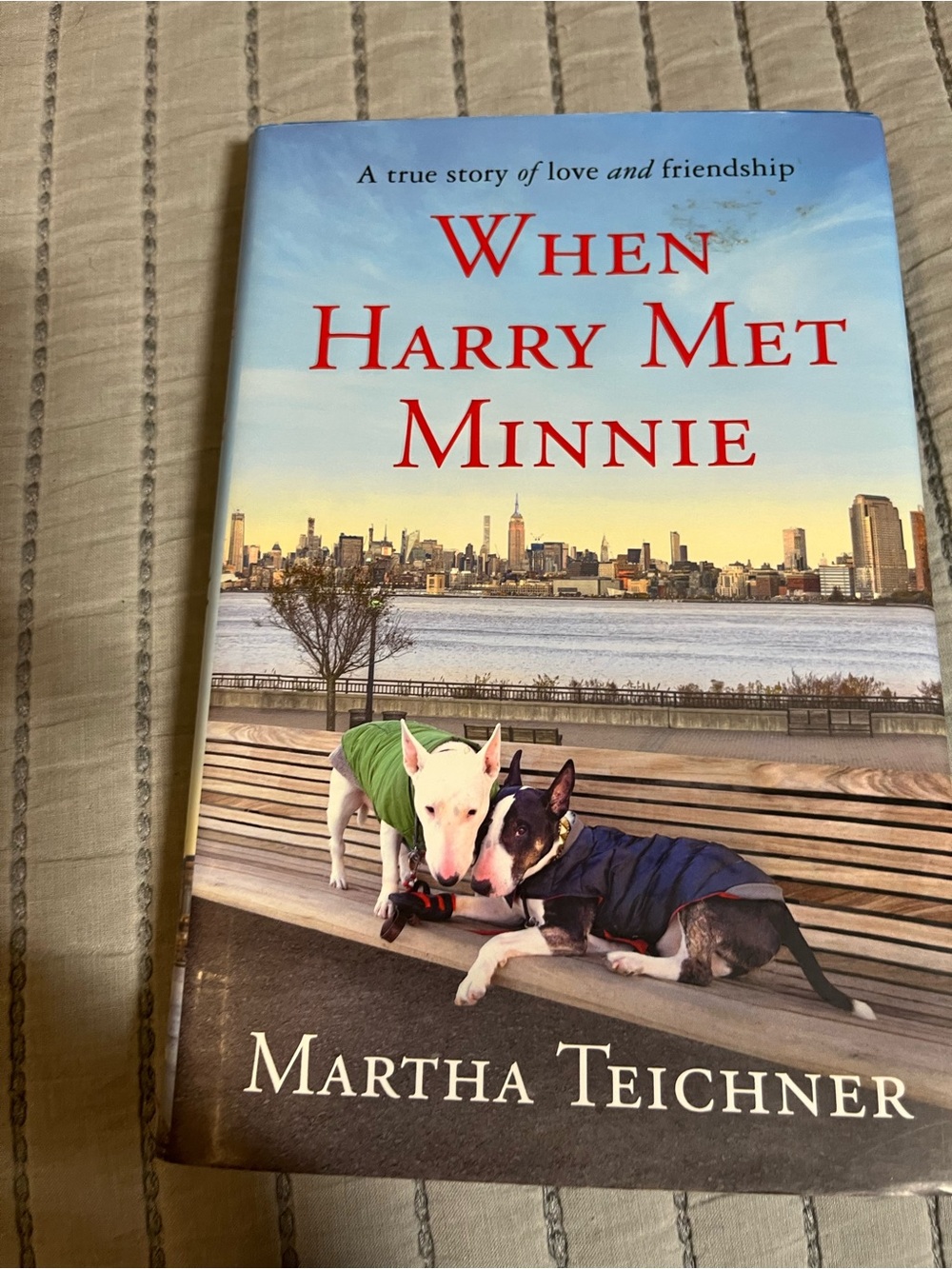When Harry Met Minnie by - Blue & Green Cover